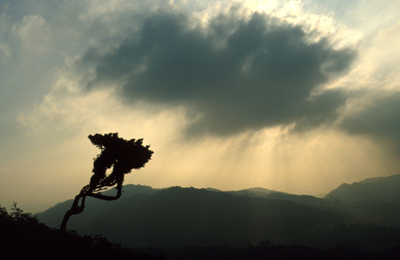 Approaching Storm
